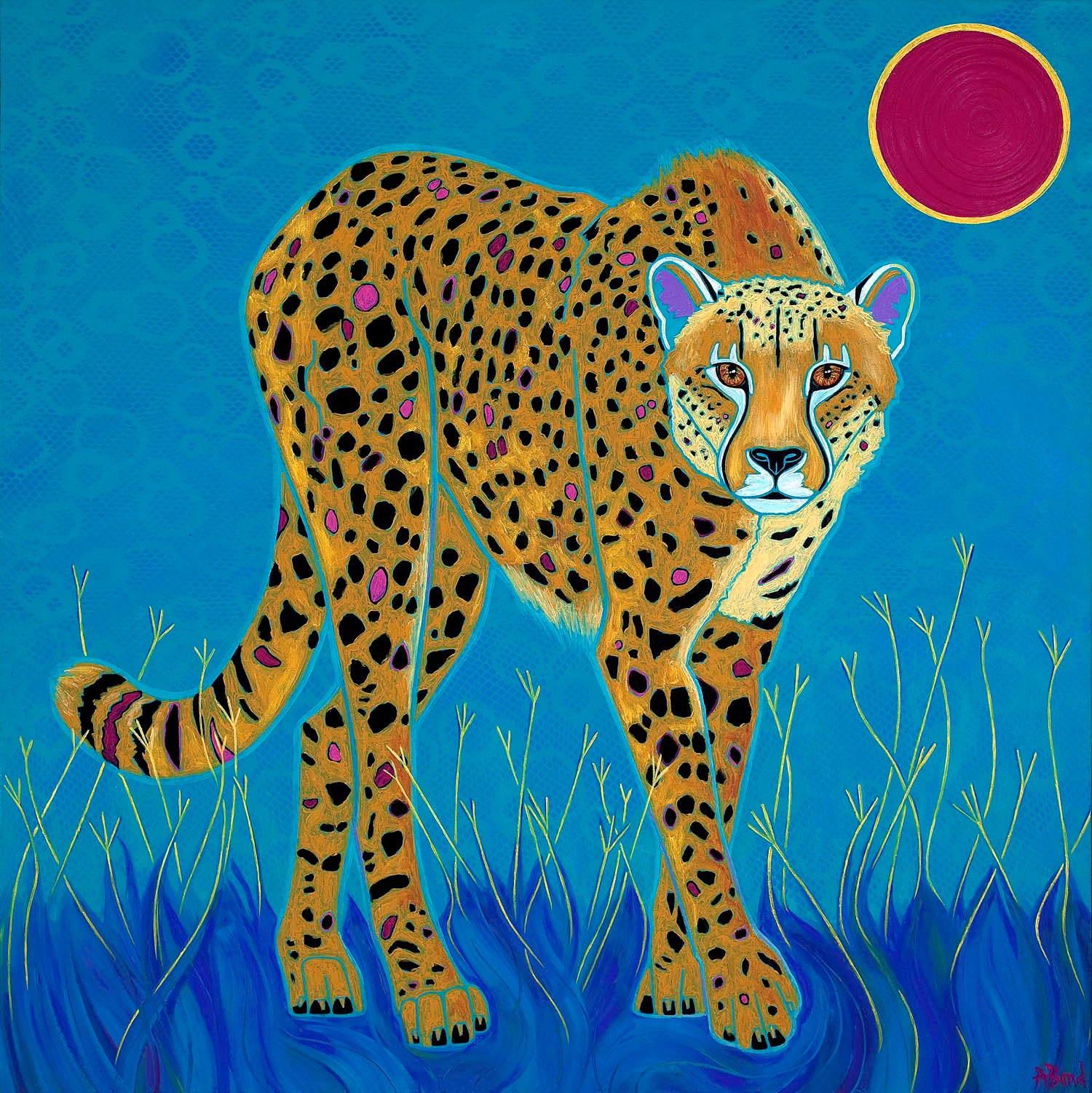 Cheetah II
